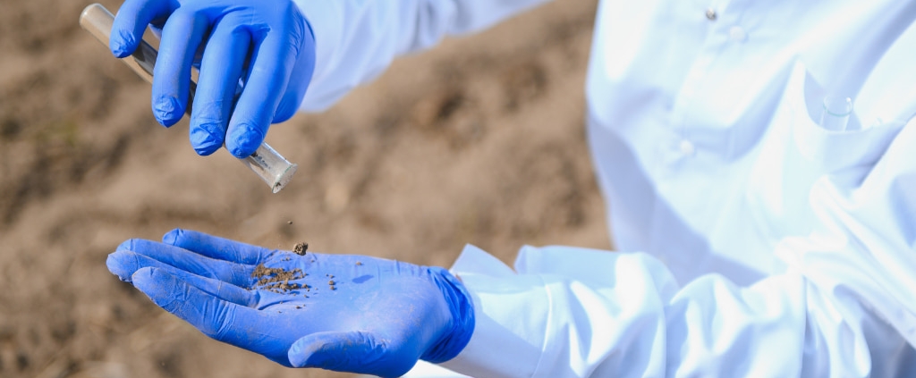 microbiologia del suelo