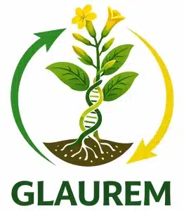 glaurem